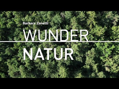 barbara zanetti wunder natur off