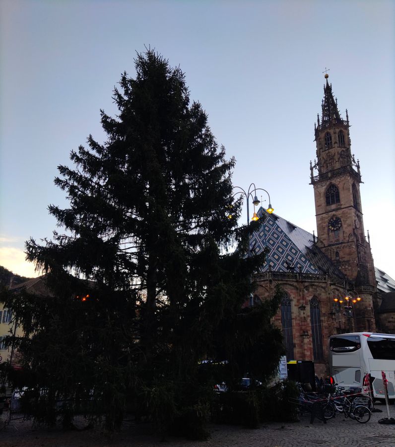Der Weihnachtsbaum auf dem Waltherplatz in Bozen steht